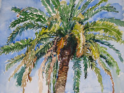 Artwork title 'Canary Island Date Palm' - Contact The Water's Edge Studio and Gallery for price and availability - gayle at galvestonwatersedge dot com
