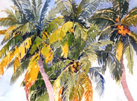 Artwork title 'Caribbean Coconut Palms' - Not for Sale