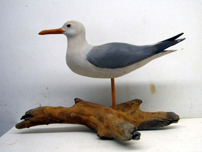 Carved and Painted Wooden Sculpture by Charles Caillouet currently showing at The Water's Edge Studio and Gallery, Artwork is titled '#167 Herring Gull', l3 inches high and 19 inches long; Contact thewatersedge at houston dot rr dot com for more information