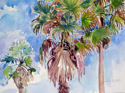 Artwork title 'Mexican Fans' - Contact The Water's Edge Studio and Gallery for price and availability - gayle at galvestonwatersedge dot com