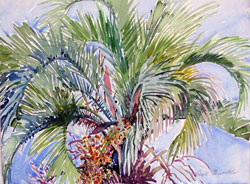 Artwork title 'Pindo Palm' - Contact The Water's Edge Studio and Gallery for price and availability - gayle at galvestonwatersedge dot com